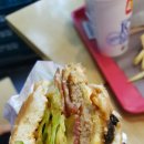 윤정희퓨전 이미지