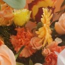 가히케이크(kahi cake) 이미지