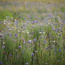 나주영상테마파크 이미지