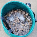 해수욕장사업소 이미지