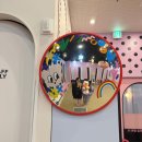 아지트댕댕 이미지