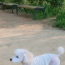 아지아지트 이미지