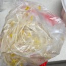 해마루회수산 | [속초 맛집] 속초 가성비 횟집 추천, "해마루회포장 속초본점" 내돈내산 후기!!! (모둠회 + 매운탕)