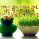 담아 이미지