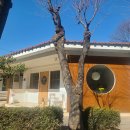 카페 펀치즈 이미지