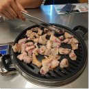 오늘 김해 뒷고기 이미지