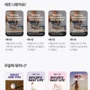 영어회화(중급)원어민 | 링고라 영어회화어플 무료체험 솔직 후기와 원어민 대화 경험