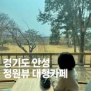 청류재커피 | 안성 대형카페 청류재커피 | 느티나무 정원뷰, 남해쑥라떼 솔직 후기