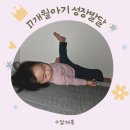 17개월 아기 언어 발달 식단 반찬 놀이 장난감 응급실 후기
