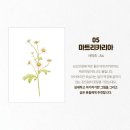 색연필 식물 세밀화 이미지