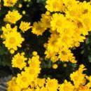 송능2리 이미지