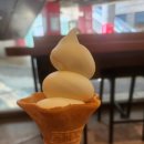 백미당 - 강남구 언주로149길 8 | [합정역 디저트] 백미당 후기