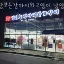 장보는강아지와고양이경기 | 화도읍 녹촌리 애견용품 장보는강아지와고양이 남양주점 위치.가격.시간.후기
