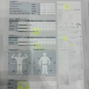 1338 | 대전 체형관리/체지방감소 [셀포랩 셀레네] 누워서 하는 쉬운 다이어트 디톡스관리 솔직후기