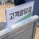 노엘