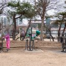 망골경로당 네이버블로그