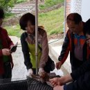 문어민박 이미지