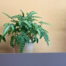 옥정1동 행정복지센터 이미지