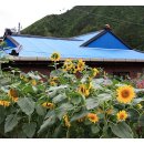 하추리산촌마을 이미지