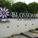 멍블라썸 이미지