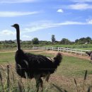 둥지목장 이미지