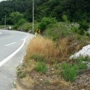 보광나들목 입구 이미지