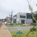 창바우마을 이미지