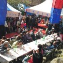 느티나무 할아버지 이미지