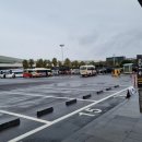 (주)KD렌트카 | [제주도렌트카] KD렌트카 /내돈내산 솔직후기