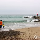 문암2리해변 Daum카페