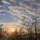 인지상정 이미지