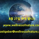 2024년 8월 27일 국내 웰니스 뉴스