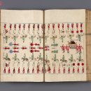 홍家돼지 이미지