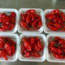 왜관농협 하나로마트 남부점 이미지