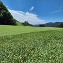 비앙골프아카데미 | &#34;로제비앙CC 필드레슨후기 비앙.네오 코스 공략팁과 경사지 샷 비밀&#34;