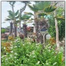 할망꽃쉼팡 민박 이미지