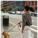 산책 티스토리