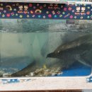 방아실낚시터 이미지