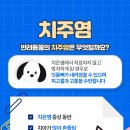 하나로동물병원 이미지