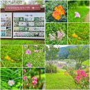 초막골생태공원(폭포화장실) | 경기도 놀러갈만한곳 군포 초막골생태공원 아이들과 가볼만한곳