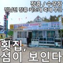 섬이보인다