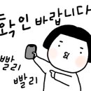 샤론꽃방 네이버블로그