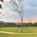 율하근린공원 이미지