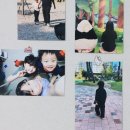 6-148 TS | 가정용프린터 원한다면 캐논 잉크젯 복합기 PIXMA TS5392a