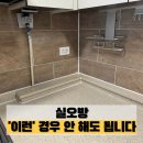 수지샤르망오피스텔 A구역 | 실오방, 곰팡이만 생각하면 놓치는 '결정적 문제' | 롯데캐슬골드타운 오피스텔