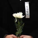 더리본 네이버블로그
