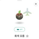 W.5 [제주 셀프 웨딩 스냅] 촬영 후기 + 4주년