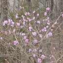 산성순복음교회 이미지