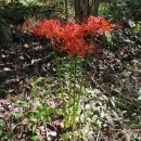 충훈고등학교 이미지