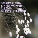 황토와풍경